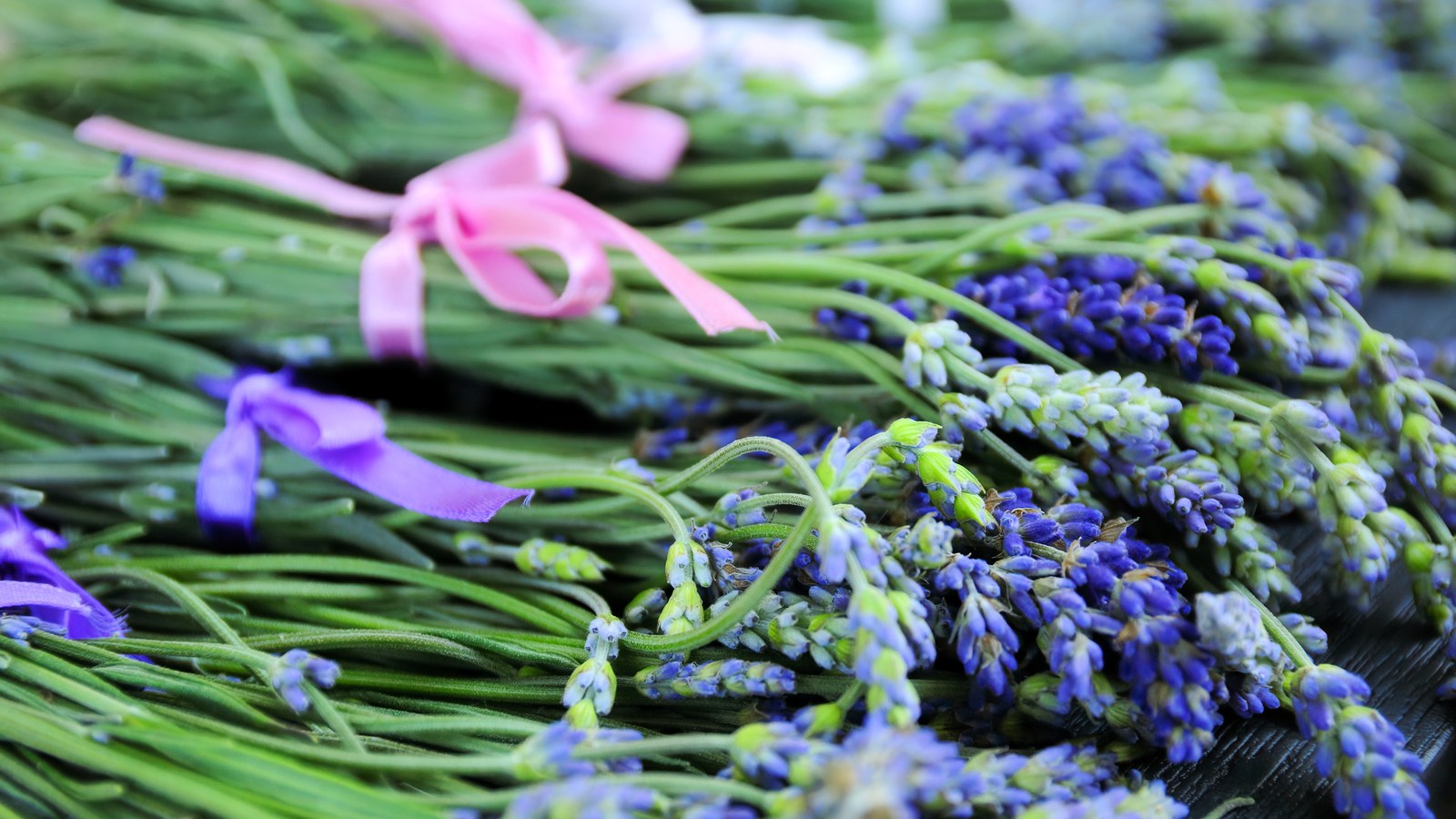 Fresh lavender herb bouquets arranged for a simple botanical self-care routine