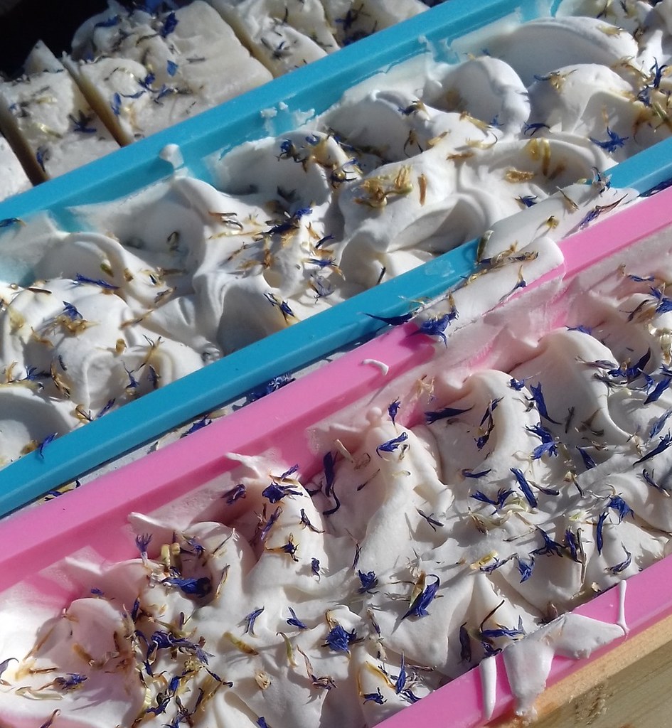 Handmade soap curing with small blue botanicals in molds