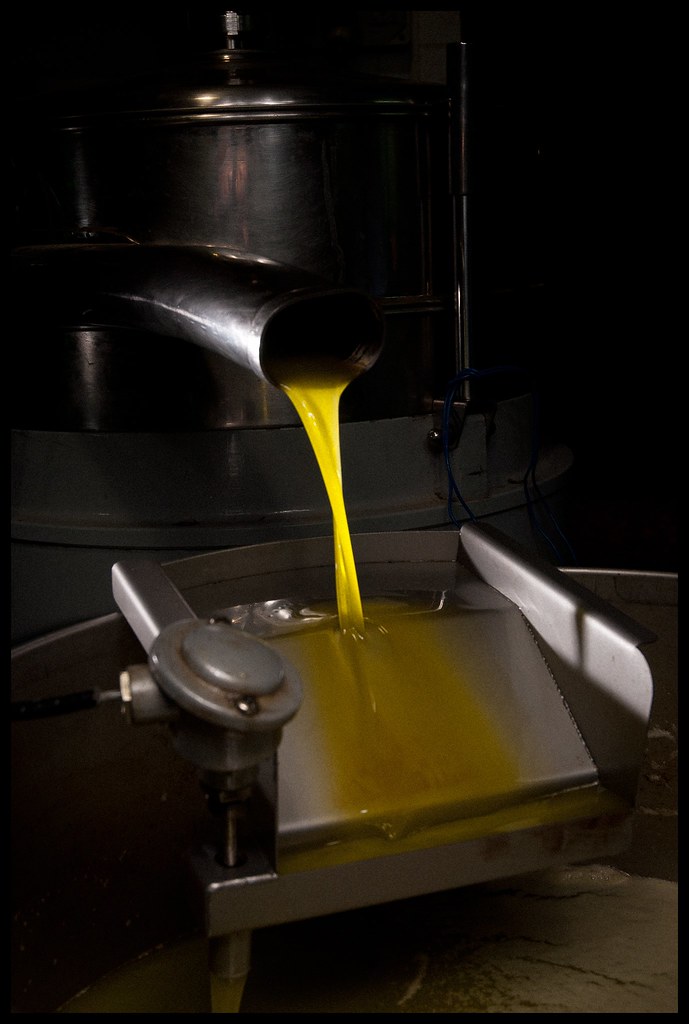 Fresh golden olive oil flowing from a stainless-steel mill spout