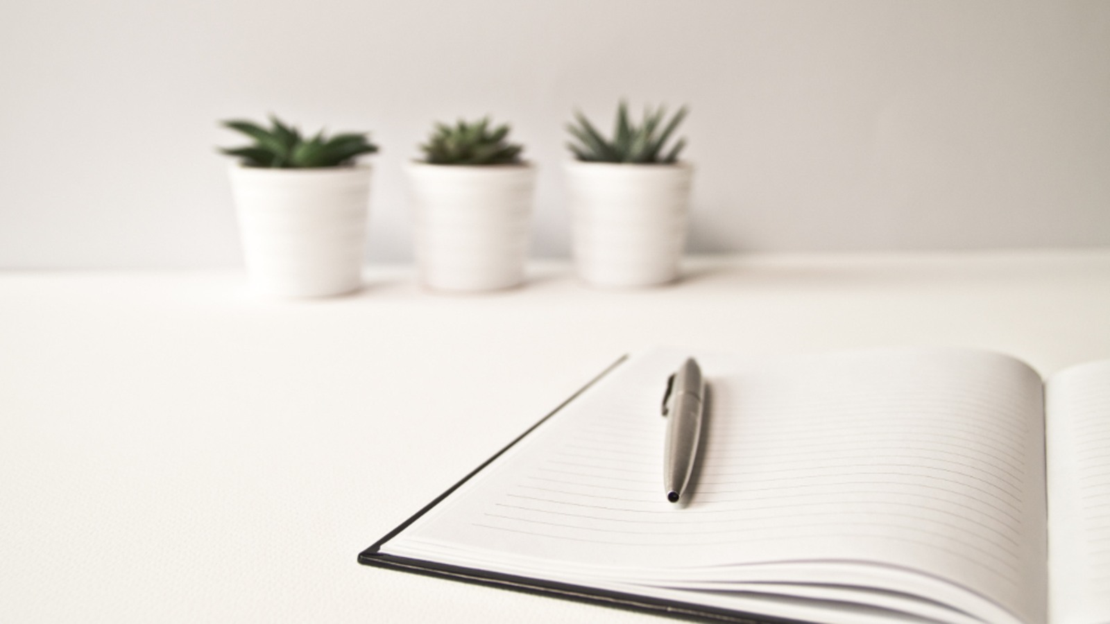 Open notebook and pen on a bright minimal desk with three small green plants