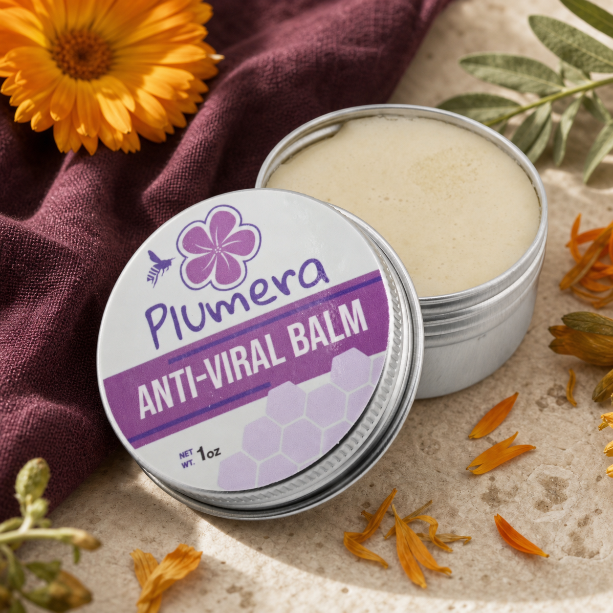 Open one ounce Plumera Anti-Viral Balm tin with the original purple and white labeled lid visible